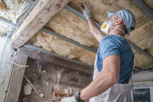 Attic Insulation Near Me in South Haven, IN